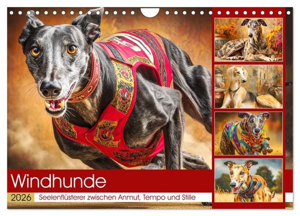 Produktbild: Windhunde. Seelenfl&uuml;sterer zwischen Anmut, Tempo und Stille (Wandkalender 2026 DIN A4 quer), CALVENDO Monatskalender