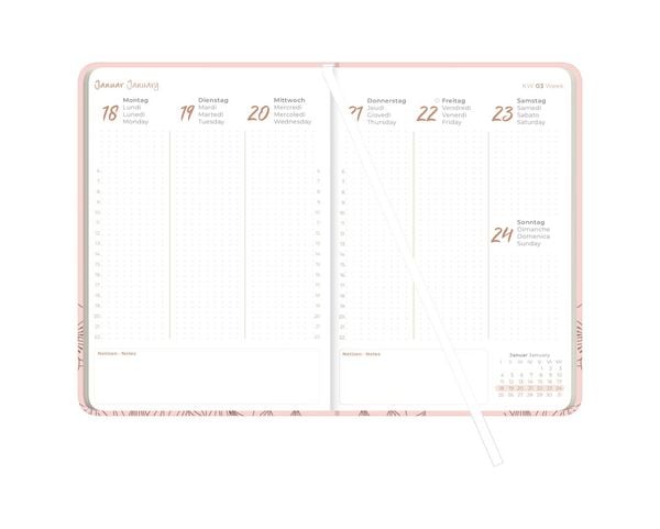 Produktbild: Lady Journal Grande Deluxe Salmon 2027