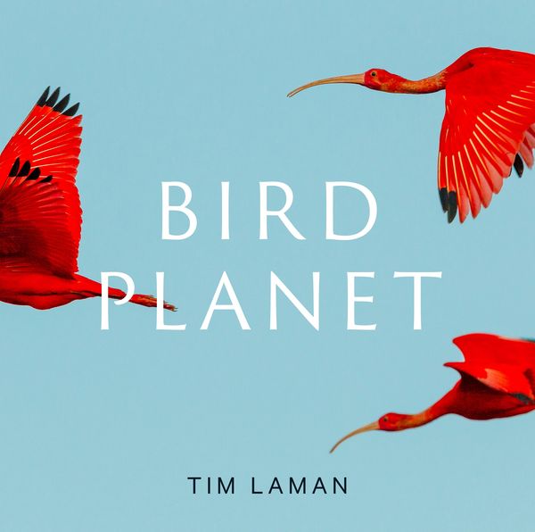 Produktbild: Bird Planet