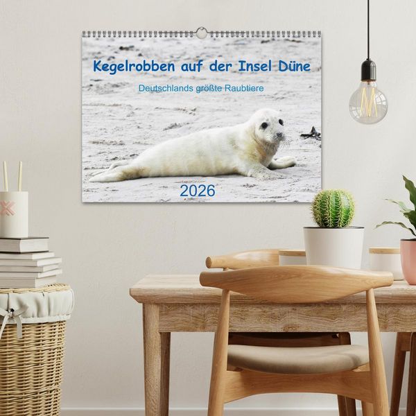 Produktbild: Kegelrobben auf der Insel D&uuml;ne (Wandkalender 2026 DIN A3 quer), CALVENDO Monatskalender