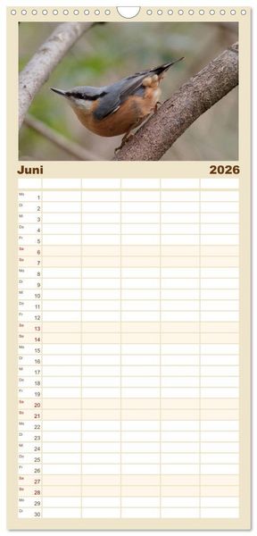 Produktbild: Familienplaner 2026 - V&ouml;gel ganz nah mit 5 Spalten (Wandkalender, 21 x 45 cm) CALVENDO