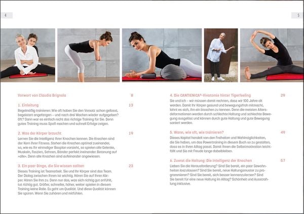 Produktbild: Powertraining mit Tigerfeeling