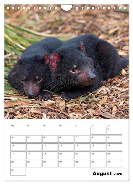 Produktbild: Australiens faszinierende Tierwelt (Wandkalender 2026 DIN A4 hoch), CALVENDO Monatskalender