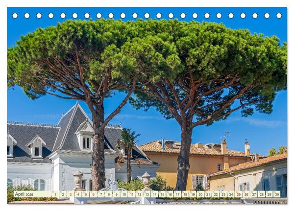 Produktbild: Mediterrane Flora - Pflanzen des S&uuml;dens (Tischkalender 2026 DIN A5 quer), CALVENDO Monatskalender