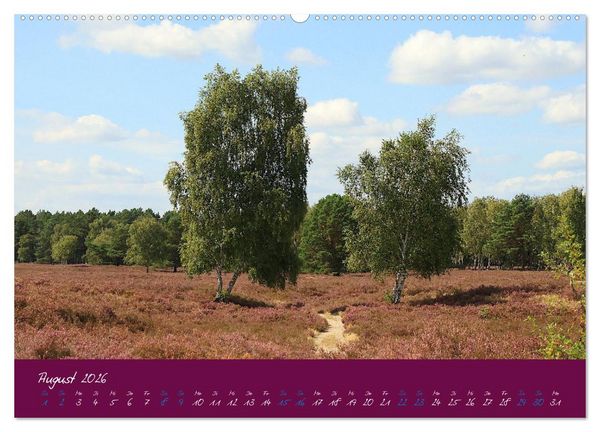 Produktbild: Die Nemitzer Heide - Im Wendland unterwegs (Wandkalender 2026 DIN A2 quer), CALVENDO Monatskalender