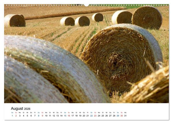 Produktbild: Felder und Wiesen (Wandkalender 2026 DIN A2 quer), CALVENDO Monatskalender