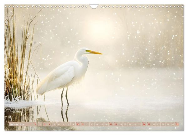 Produktbild: Zwischen Himmel und Wasser (Wandkalender 2026 DIN A3 quer), CALVENDO Monatskalender