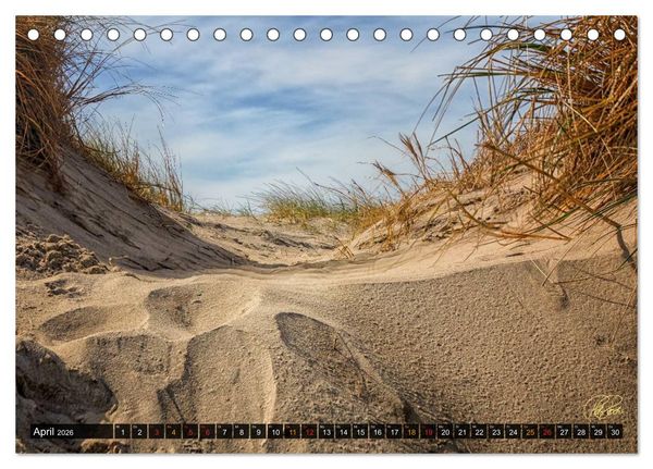 Produktbild: Nordsee-D&uuml;nen (Tischkalender 2026 DIN A5 quer), CALVENDO Monatskalender
