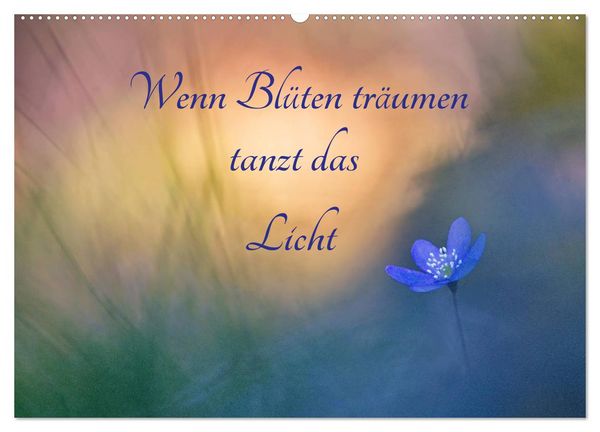 Produktbild: Wenn Bl&uuml;ten tr&auml;umen tanzt das Licht (Wandkalender 2026 DIN A2 quer), CALVENDO Monatskalender