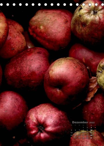 Produktbild: &auml;pfel (Tischkalender 2022 DIN A5 hoch)