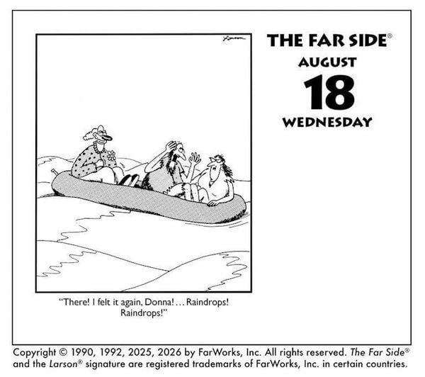 Produktbild: The Far Side 2027