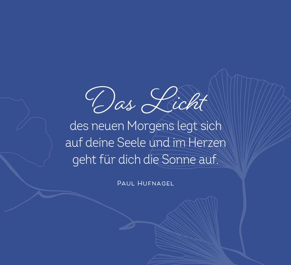 Lichtblicke für jeden Tag