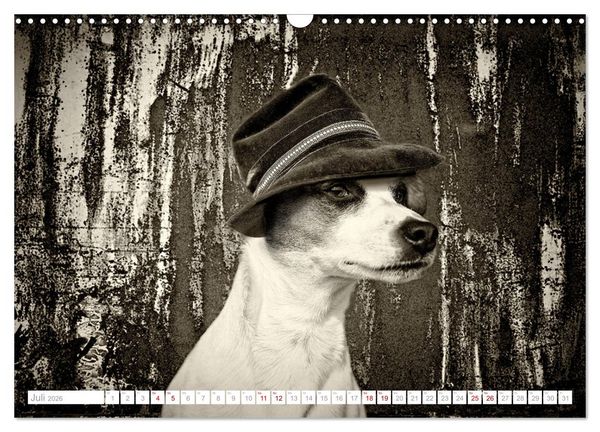Produktbild: Hund tr&auml;gt Hut (Wandkalender 2026 DIN A3 quer), CALVENDO Monatskalender