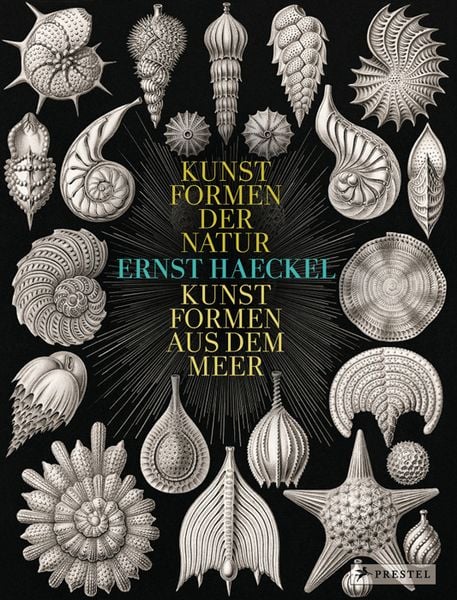 Produktbild: Ernst Haeckel