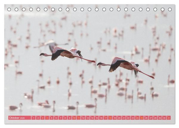 Produktbild: Flamingos am Lake Bogoria - Kenia (Tischkalender 2026 DIN A5 quer), CALVENDO Monatskalender
