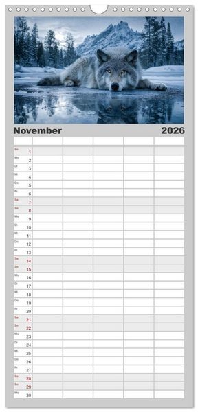 Produktbild: Familienplaner 2026 - W&ouml;lfe im Mondlicht - Ruf der Wildnis mit 5 Spalten (Wandkalender, 21 x 45 cm) CALVENDO
