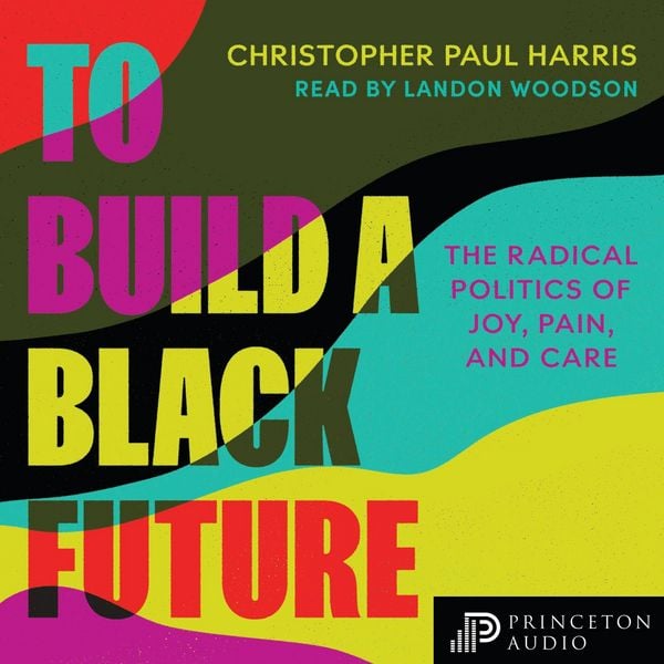 Produktbild: To Build a Black Future