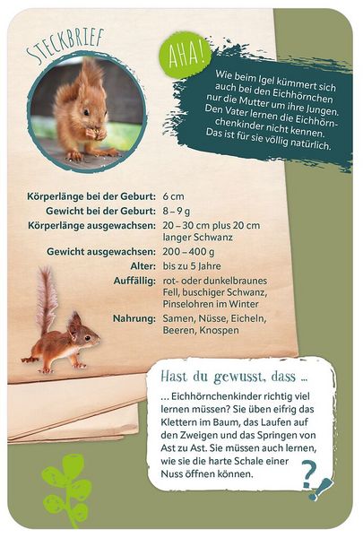 Produktbild: Die 100 s&uuml;&szlig;esten Tierbabys