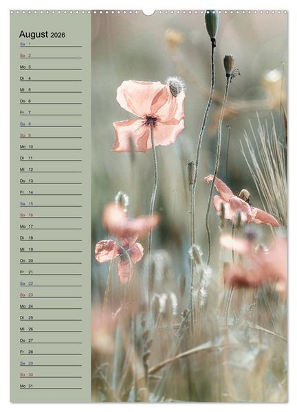 Produktbild: Pastell-Zauber (Wandkalender 2026 DIN A2 hoch), CALVENDO Monatskalender