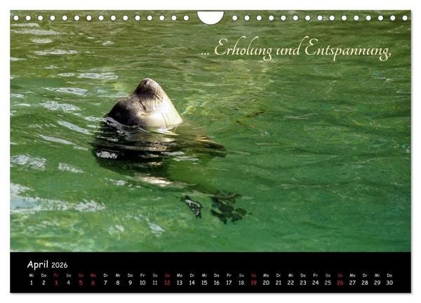 Produktbild: Gut gelaunt durch's Rentenjahr (Wandkalender 2026 DIN A4 quer), CALVENDO Monatskalender