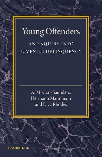 Produktbild: Young Offenders