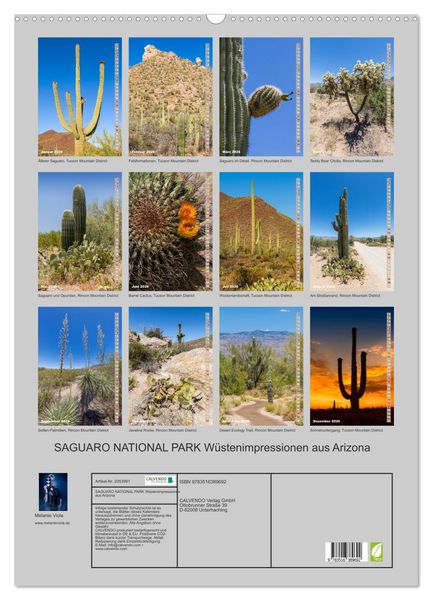 Produktbild: SAGUARO NATIONAL PARK W&uuml;stenimpressionen aus Arizona (Wandkalender 2026 DIN A2 hoch), CALVENDO Monatskalender