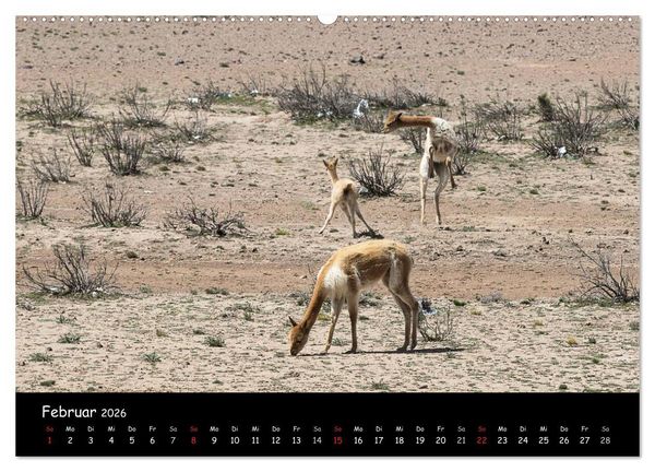 Produktbild: Traumziel Peru (Wandkalender 2026 DIN A2 quer), CALVENDO Monatskalender