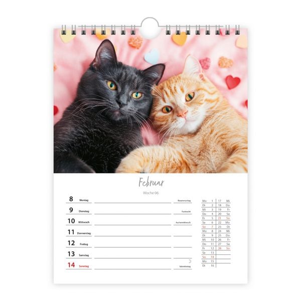 Produktbild: TR&Ouml;TSCH - Wochenkalender zum H&auml;ngen Katzen 2027