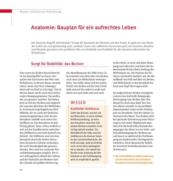Produktbild: Skoliose - Aufrecht durch Bewegung