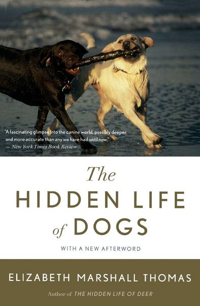 Produktbild: Hidden Life of Dogs, The