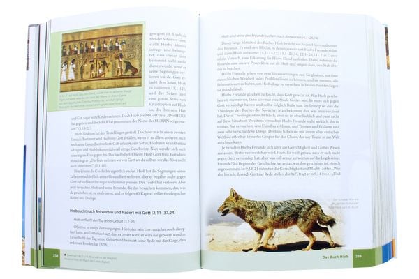 Produktbild: Das illustrierte Handbuch zur Bibel
