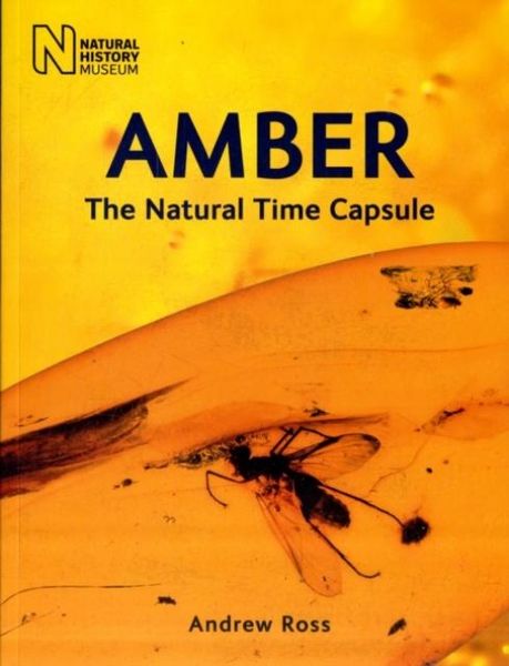 Produktbild: Amber