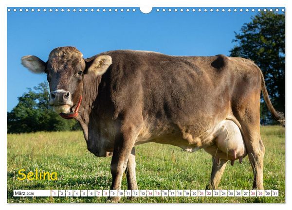 Produktbild: Aussterbende Rassen und Rarit&auml;ten (Wandkalender 2026 DIN A3 quer), CALVENDO Monatskalender
