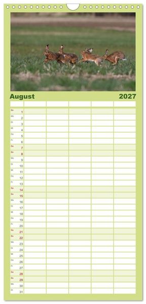 Produktbild: Familienplaner 2027 - Feldhasen in H&ouml;chstform mit 5 Spalten (Wandkalender, 21 x 45 cm) CALVENDO