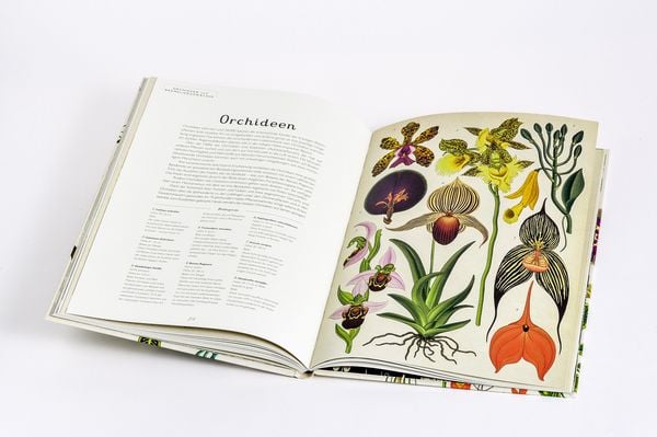 Produktbild: Das Museum der Pflanzen
