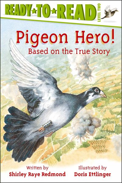 Produktbild: Pigeon Hero!