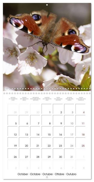 Produktbild: Blt, S: Esp&egrave;ces de Nouvelle Aquitaine (Calendrier mural carr