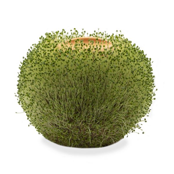Produktbild: Terracotta Round Planter