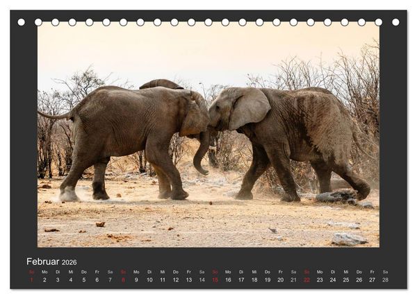 Produktbild: Facetten Namibias (Tischkalender 2026 DIN A5 quer), CALVENDO Monatskalender