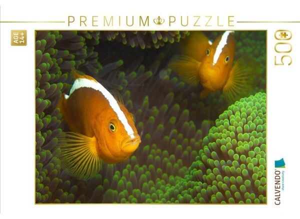 CALVENDO Puzzle Nemos in ihrem grünen Zuhause | 500 Teile Lege-Größe 48 × 36 cm Foto-Puzzle für Erwachsene