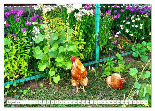 Produktbild: Dorfidylle - Landleben in Russland (Wandkalender 2026 DIN A4 quer), CALVENDO Monatskalender