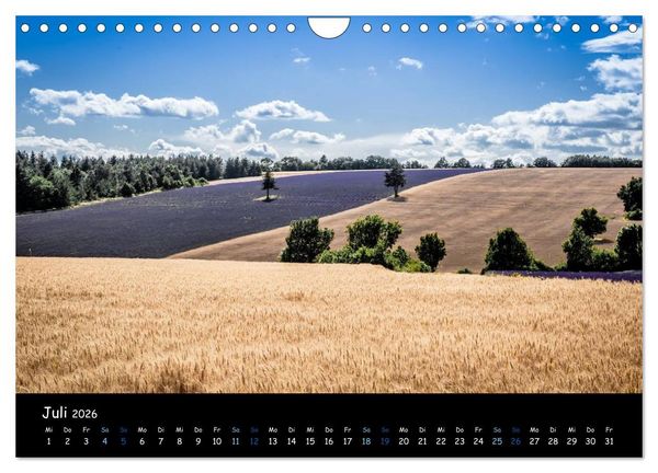Produktbild: Provence - Lavendelbl&uuml;te (Wandkalender 2026 DIN A4 quer), CALVENDO Monatskalender