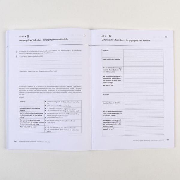 Produktbild: Therapie-Tools Angstst&ouml;rungen