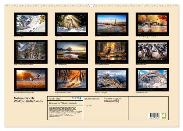 Produktbild: Geheimnisvolle Wildnis Deutschlands (Wandkalender 2026 DIN A2 quer), CALVENDO Monatskalender