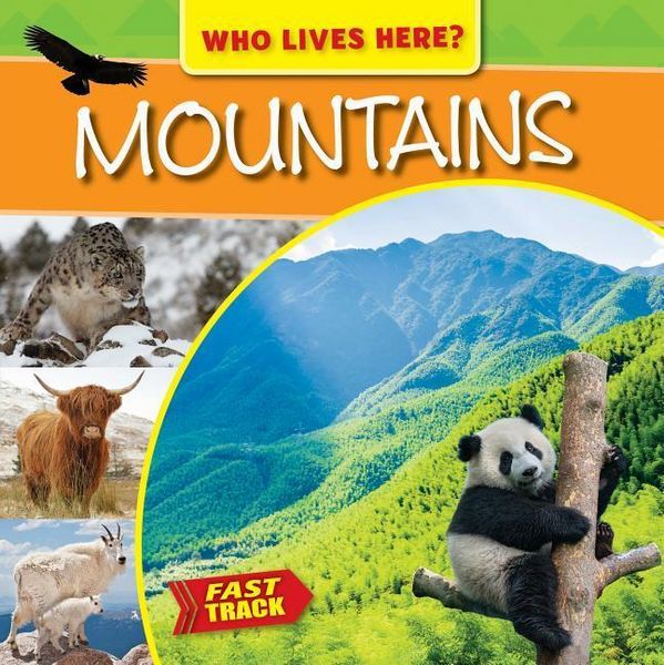 Produktbild: Mountains