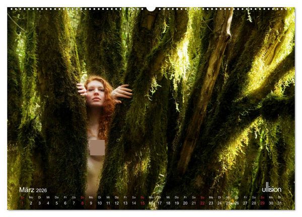 Produktbild: ZAUBERWALD Mystik der Natur (Wandkalender 2026 DIN A2 quer), CALVENDO Monatskalender
