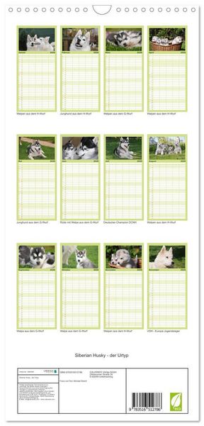 Produktbild: Familienplaner 2026 - Siberian Husky - der Urtyp mit 5 Spalten (Wandkalender, 21 x 45 cm) CALVENDO