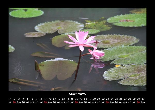 Produktbild: Die Seen der Erde 2025 Fotokalender DIN A3