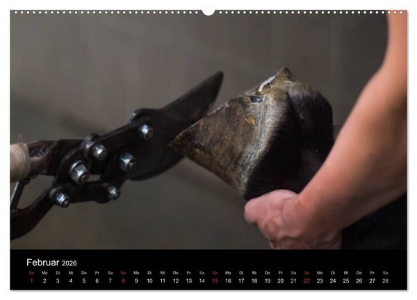 Produktbild: Hufschmiede - Impressionen eines alten Handwerks (hochwertiger Premium Wandkalender 2026 DIN A2 quer), Kunstdruck in Hochglanz