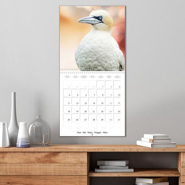 Produktbild: Wonderful Birds (Wall Calendar 2026 12 &times; 12 Inch) CALVENDO 12 Month Wall Calendar